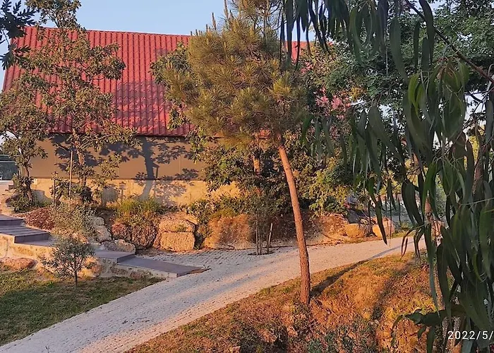 Casa Do Neto. Anexo Vale Da Ginjeira.