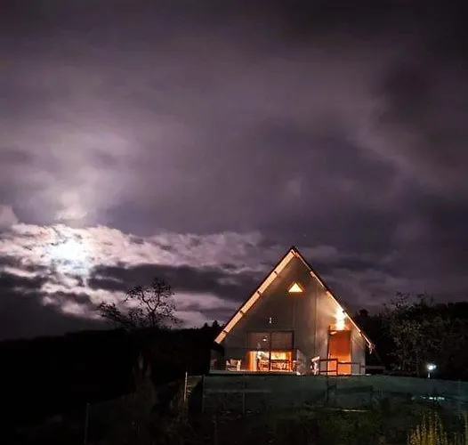 Casa Do Neto. Anexo Vale Da Ginjeira.